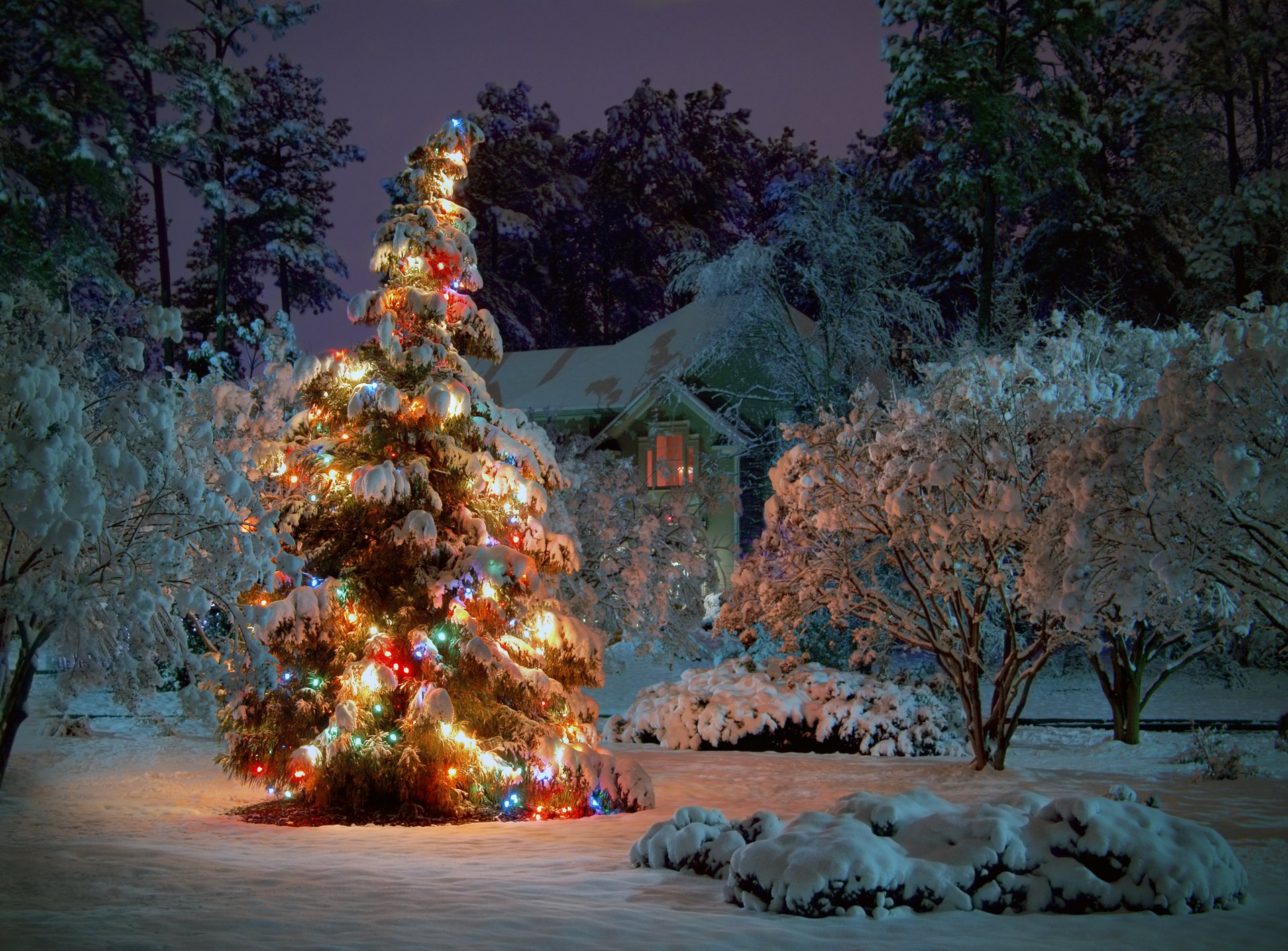 abete alberi neve inverno casa notte ghirlande vacanza