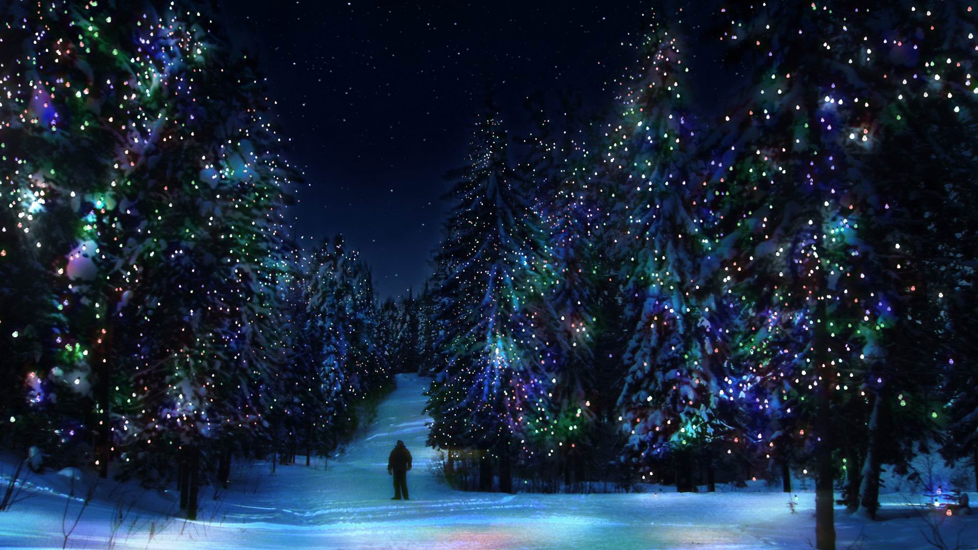 bosque árboles de navidad invierno año nuevo decoración iluminación