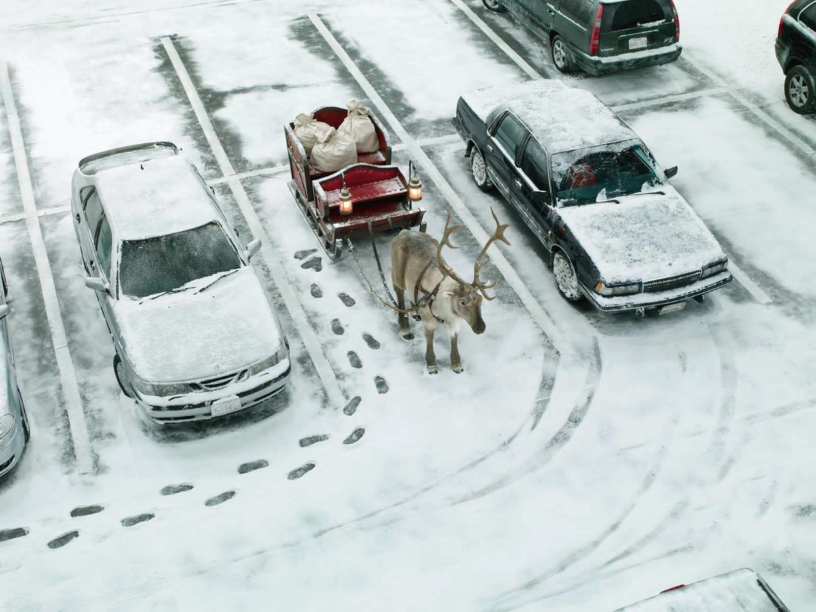 straße parkplatz autos schlitten hirsch taschen geschenke fußabdrücke