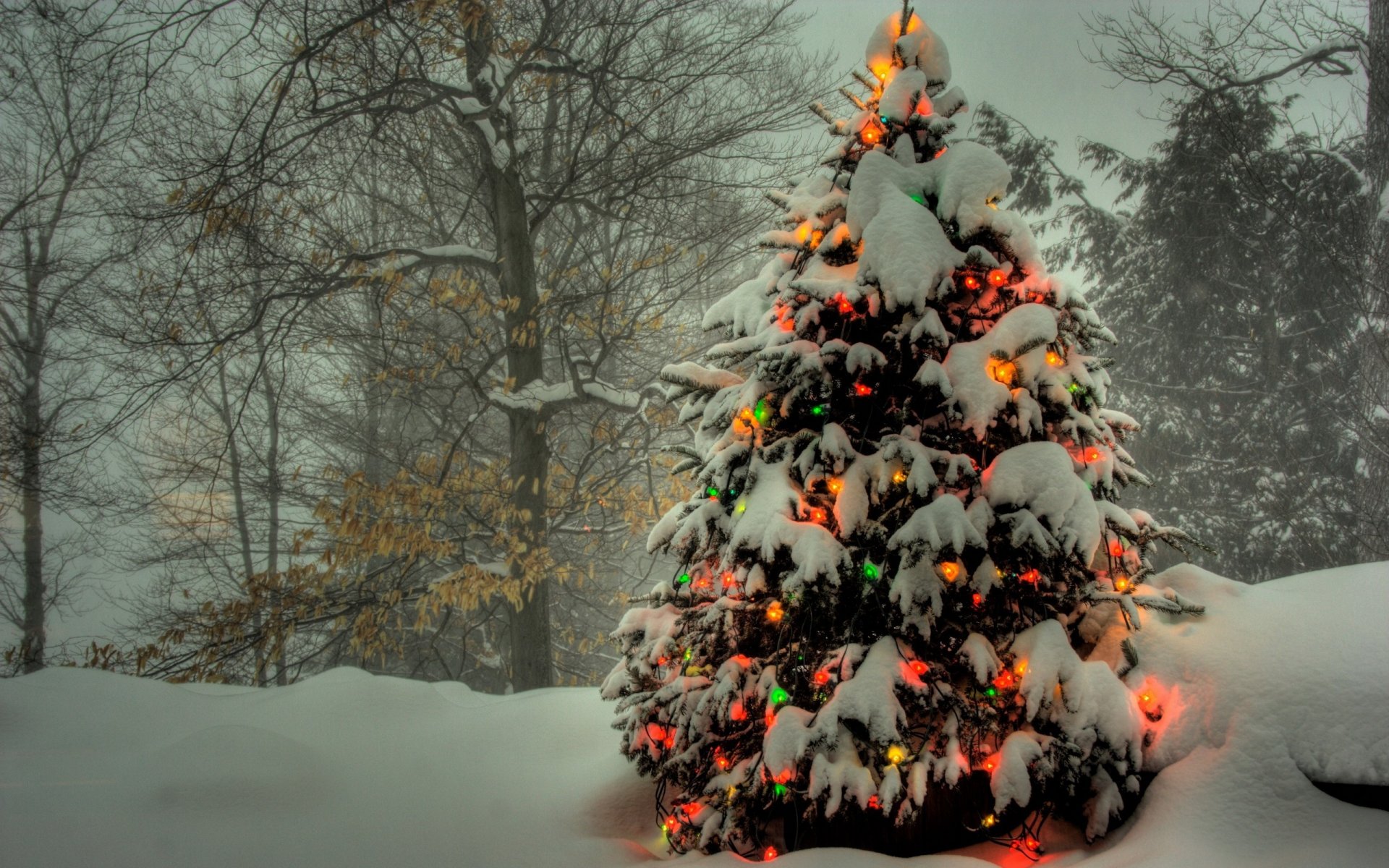 winterlich.wald schnee girlanden gefärbt lichter