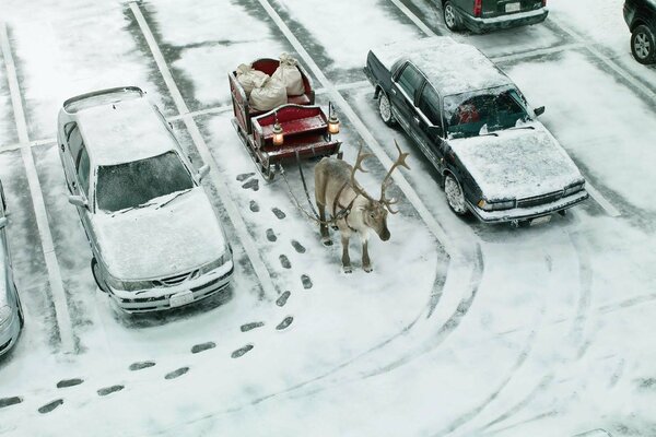 Cars and streets are covered with snow