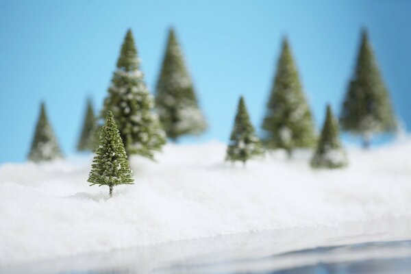 Pequeños árboles de Navidad en la nieve