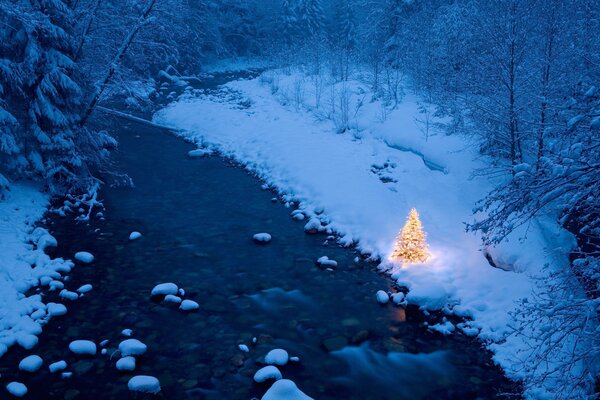 Winter forest and river. Christmas tree with garlands