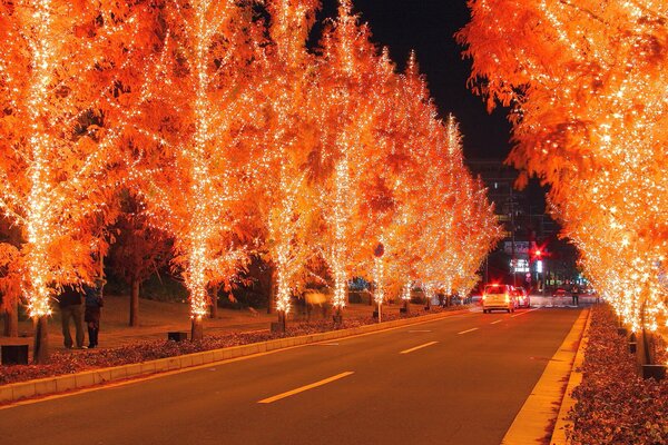 Illuminazione rossa degli alberi lungo la strada