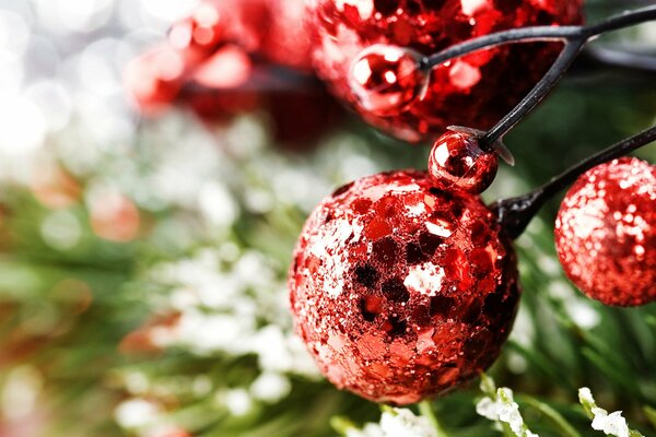 Rote glänzende Kugeln am Weihnachtsbaum