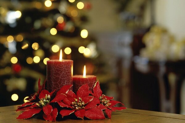 Bougies de Noël sur le fond de l épinette du nouvel an