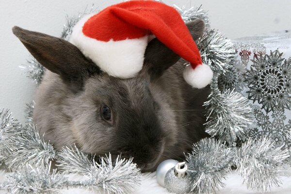 A rabbit in a Santa Claus hat