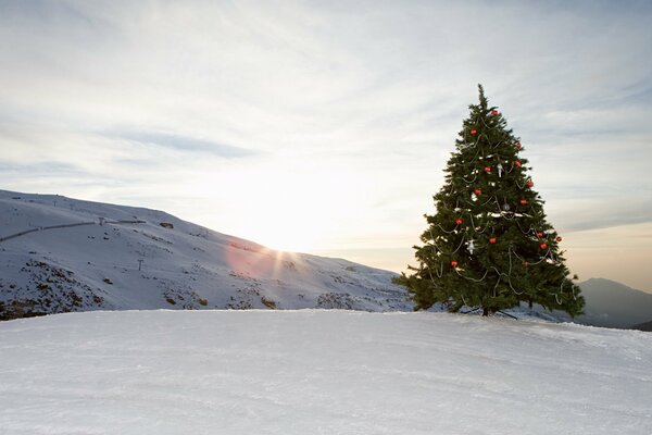 Winterberge und geschmückter Weihnachtsbaum