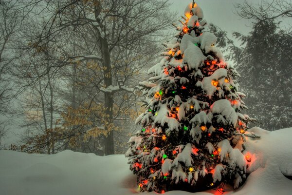 Ein Weihnachtsbaum in Girlanden steht im Wald