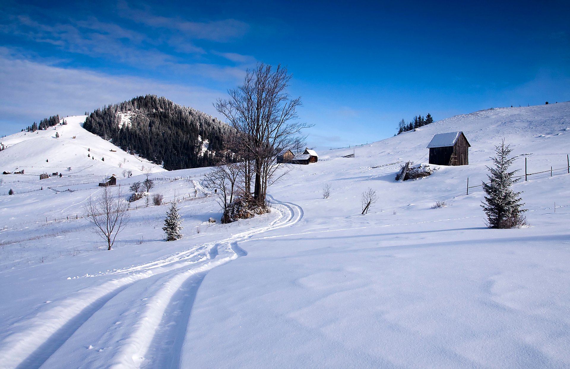 cielo casa sentiero inverno neve pendio montagne foresta alberi