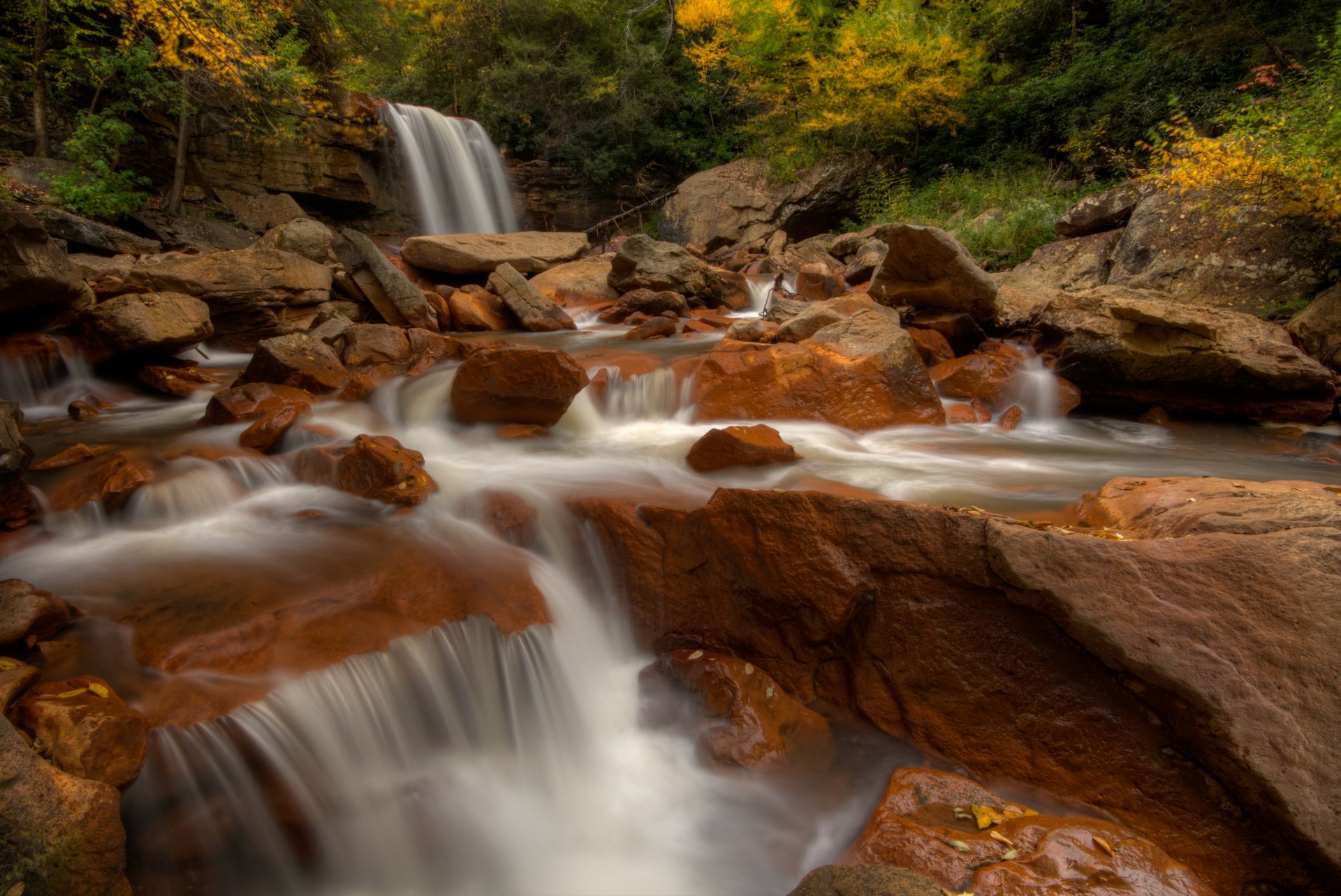 douglas falls rivière blackwater virginie-occidentale douglas falls rivière blackwater virginie-occidentale cascade rivière pierres automne