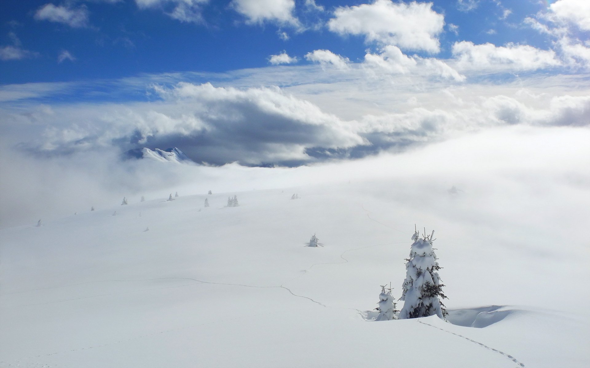 winter schnee landschaft