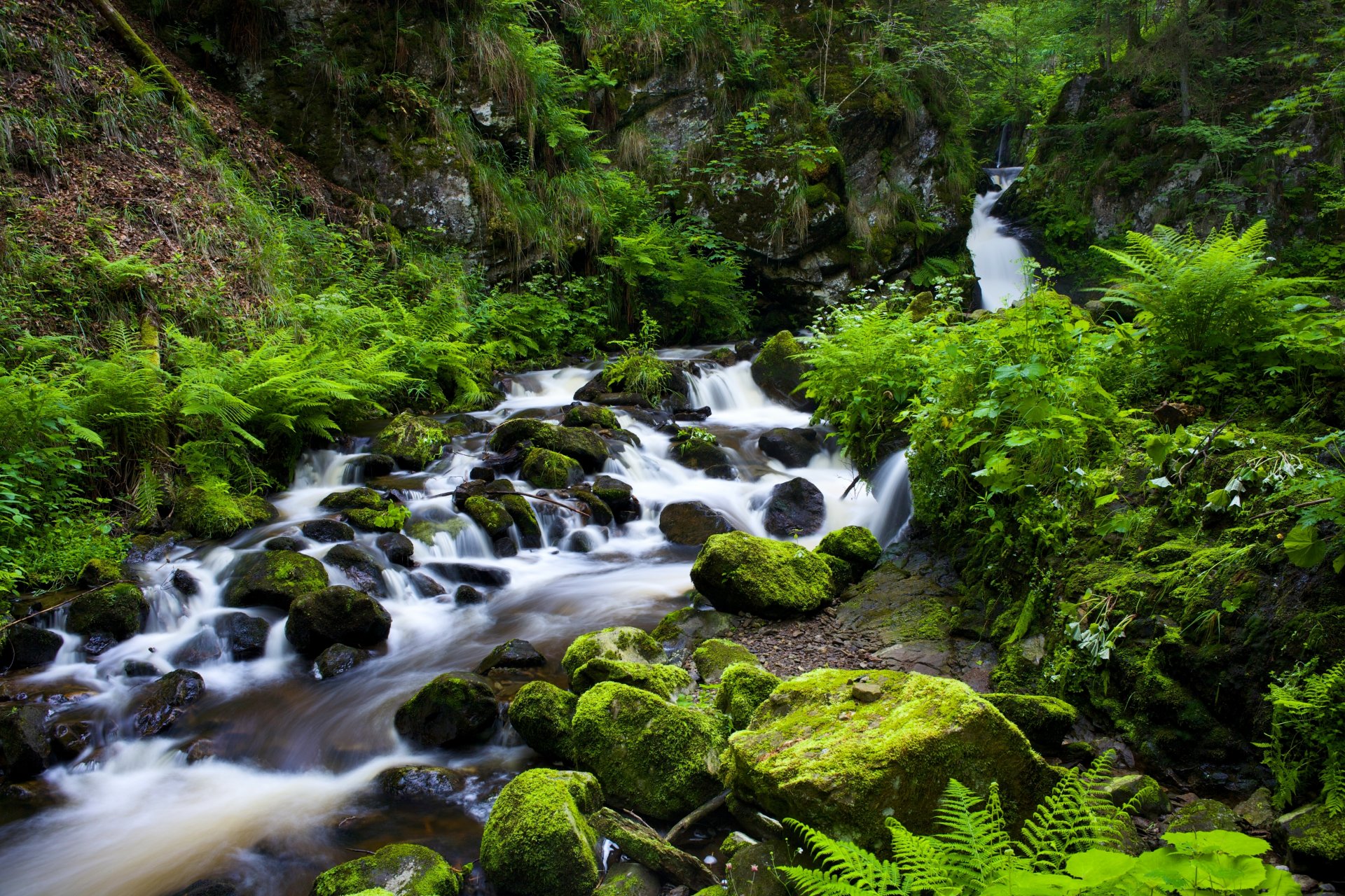 ravennaschlucht foresta nera germania foresta nera gola ruscello fiume rocce vegetazione