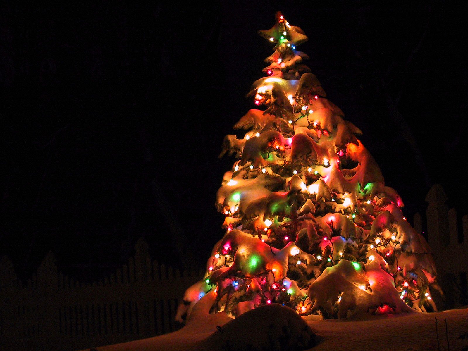 nuovo anno albero di natale decorazioni luci notte