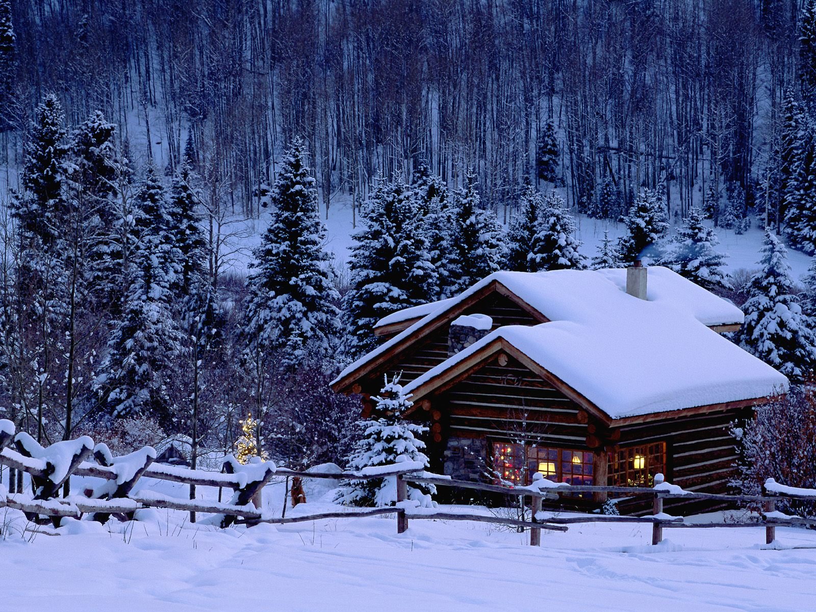 capodanno albero di natale casa inverno neve