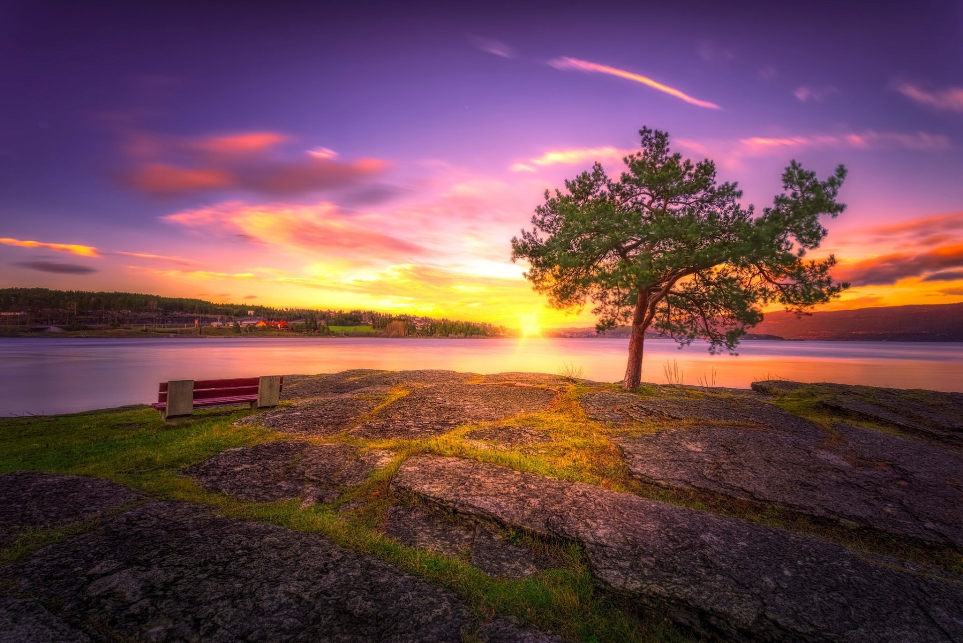 arbre coucher de soleil lac