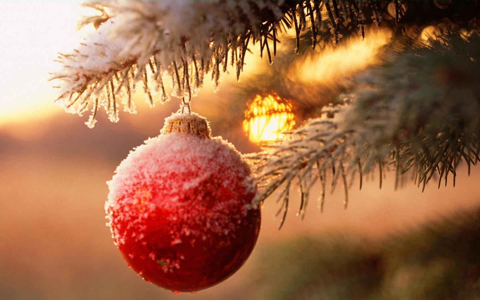 nouvel an boule branche arbre de noël