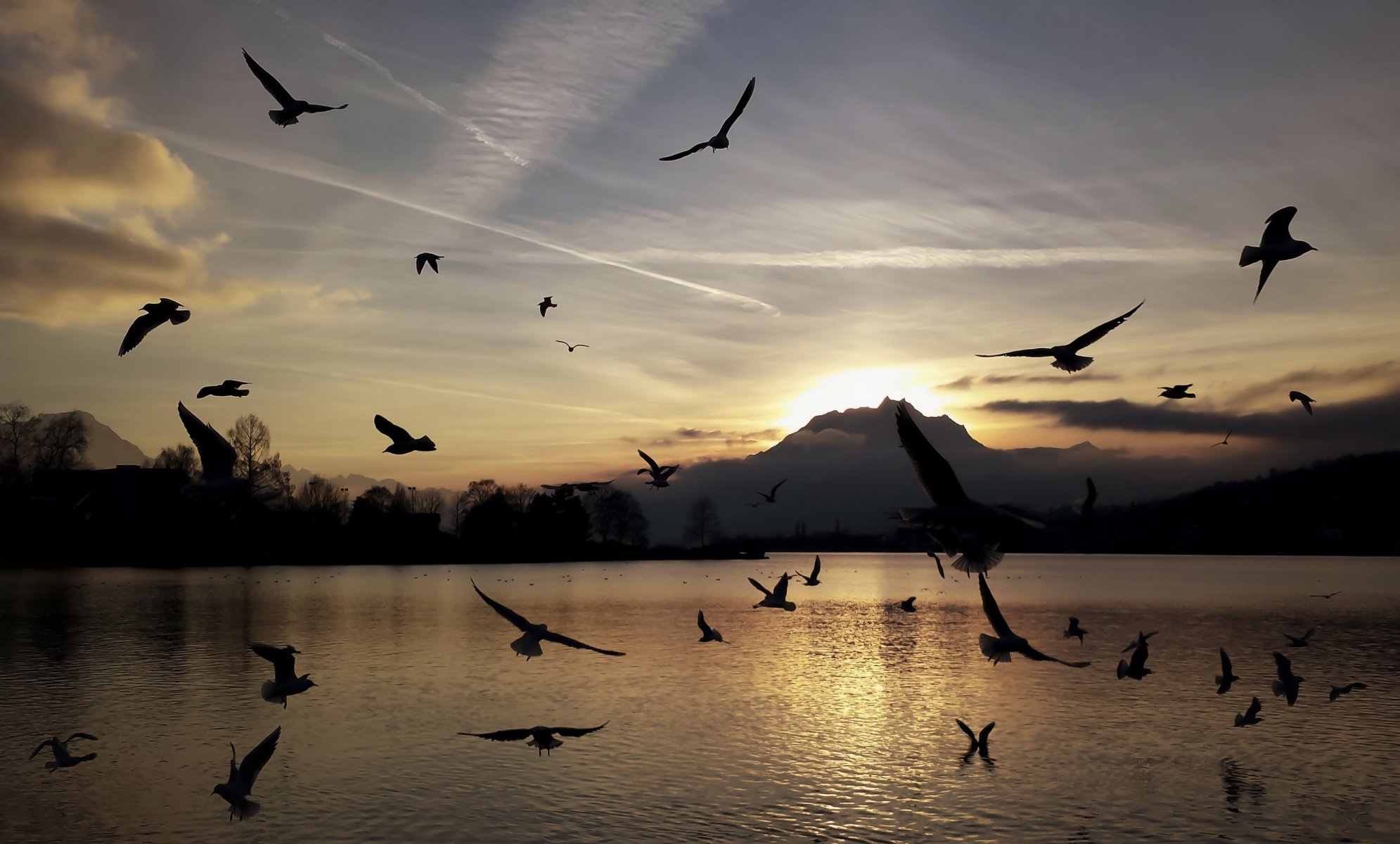 montagnes lac oiseaux mouettes coucher de soleil silhouettes