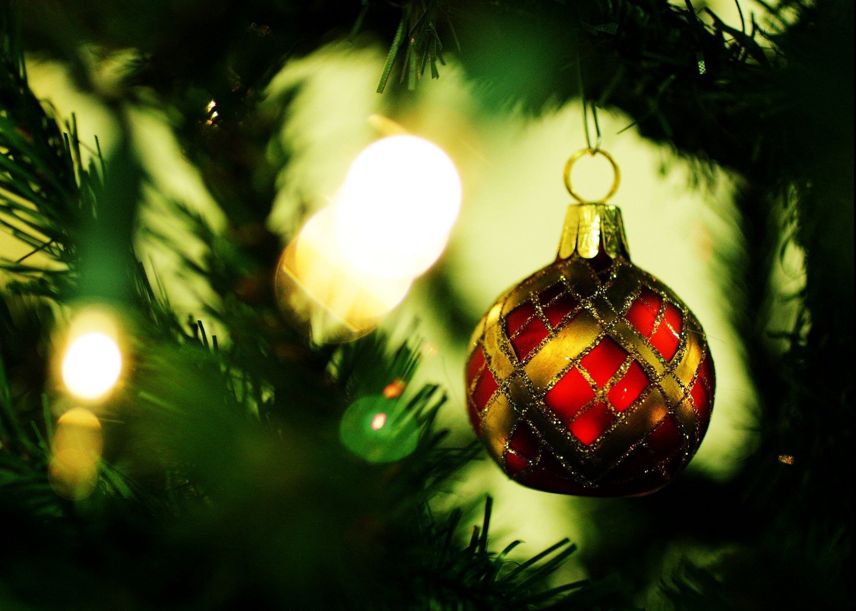 vacanza albero di natale aghi giocattolo umore nuovo anno foto immagine sfondo carta da parati