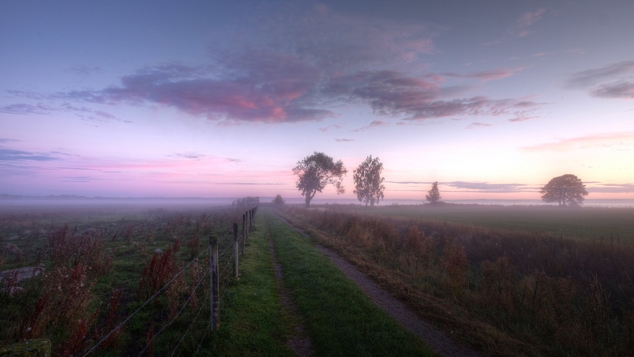 morning the field fence