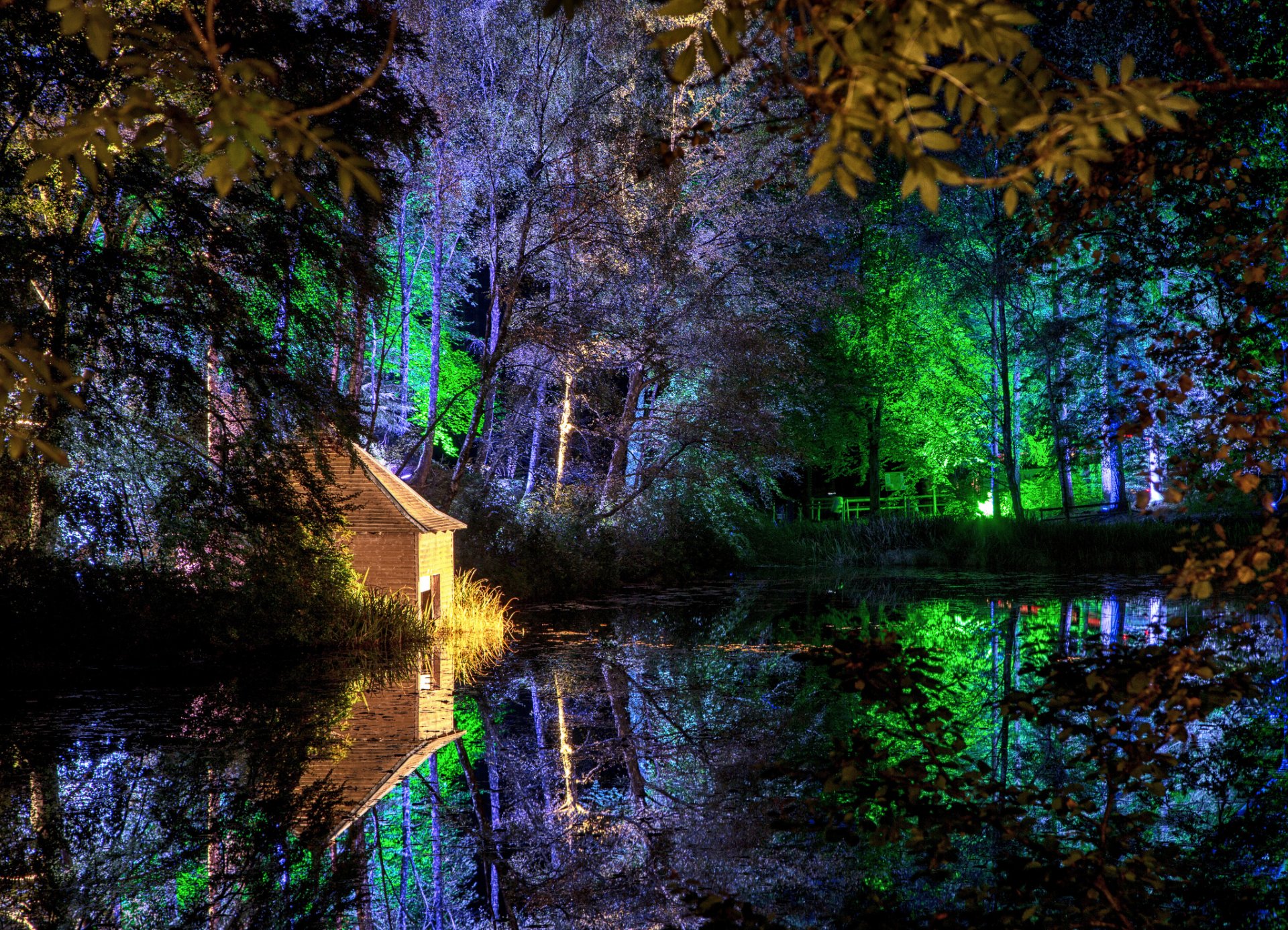 notte parco casa luci alberi