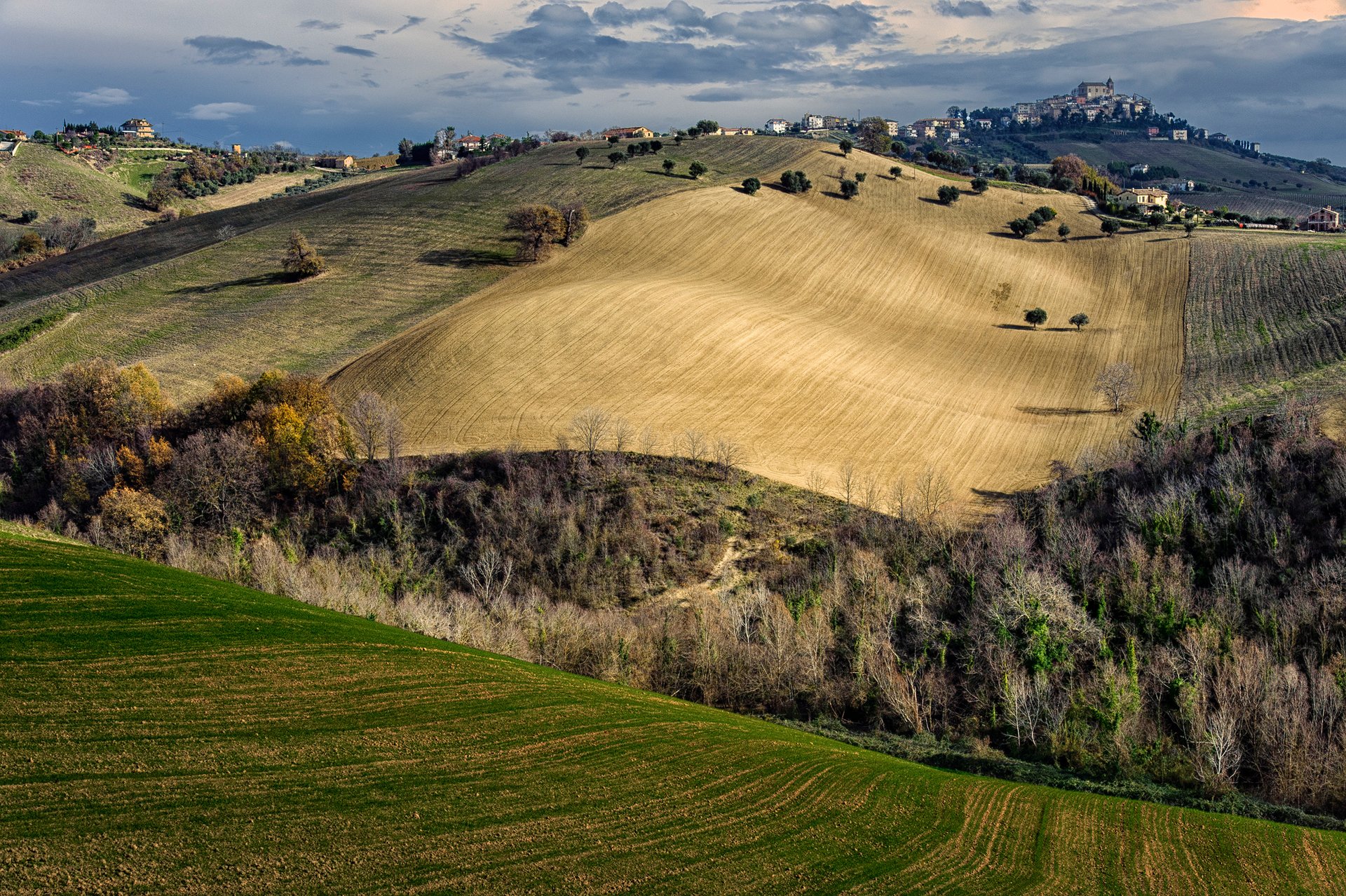 italy sky of the field autumn town house tree hill