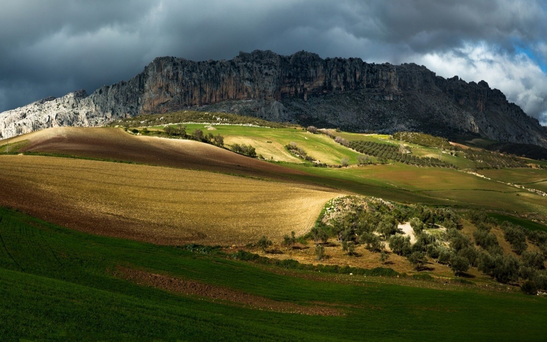 árboles campo valle cielo rocas montañas naturaleza foto