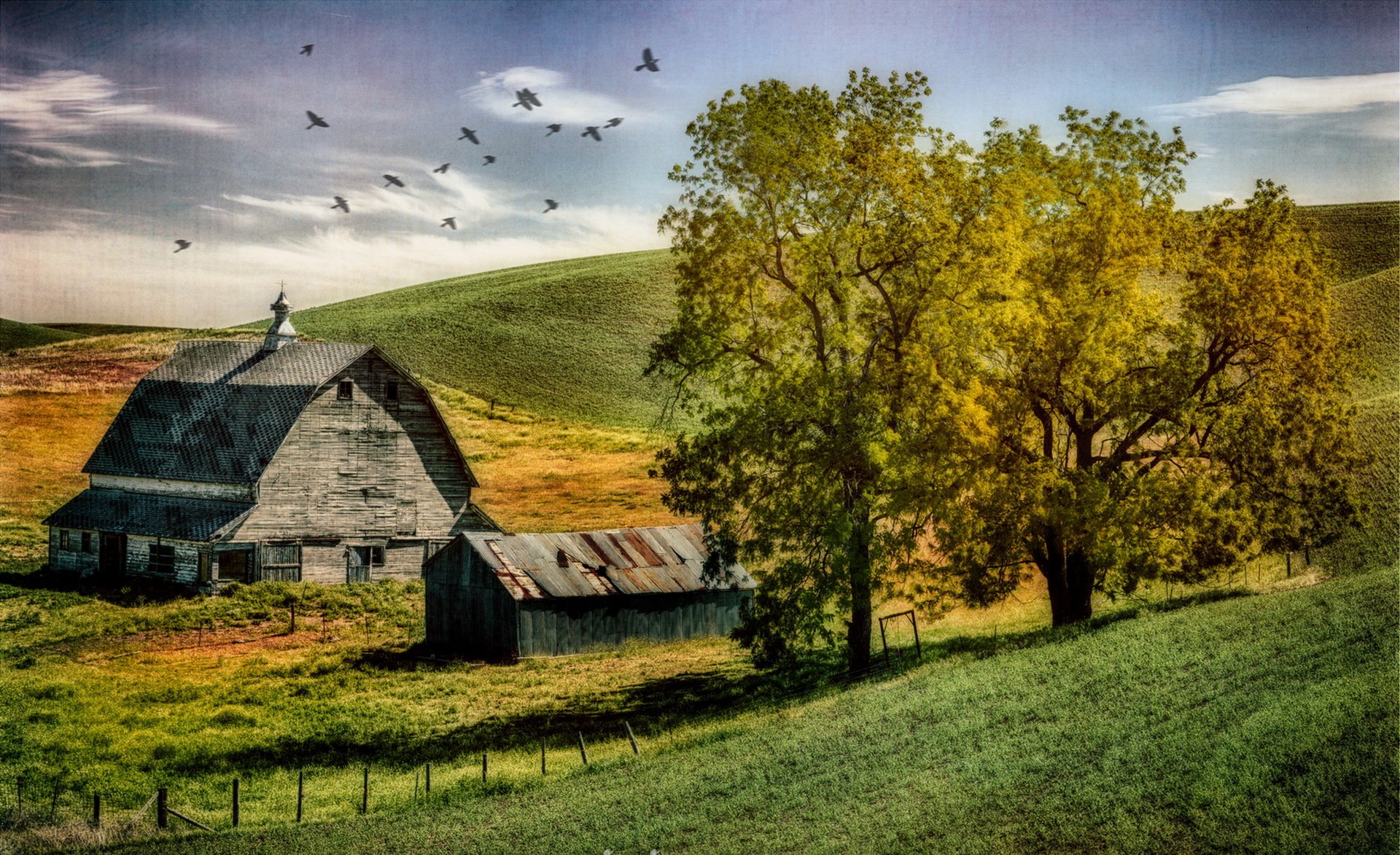 the field house landscape