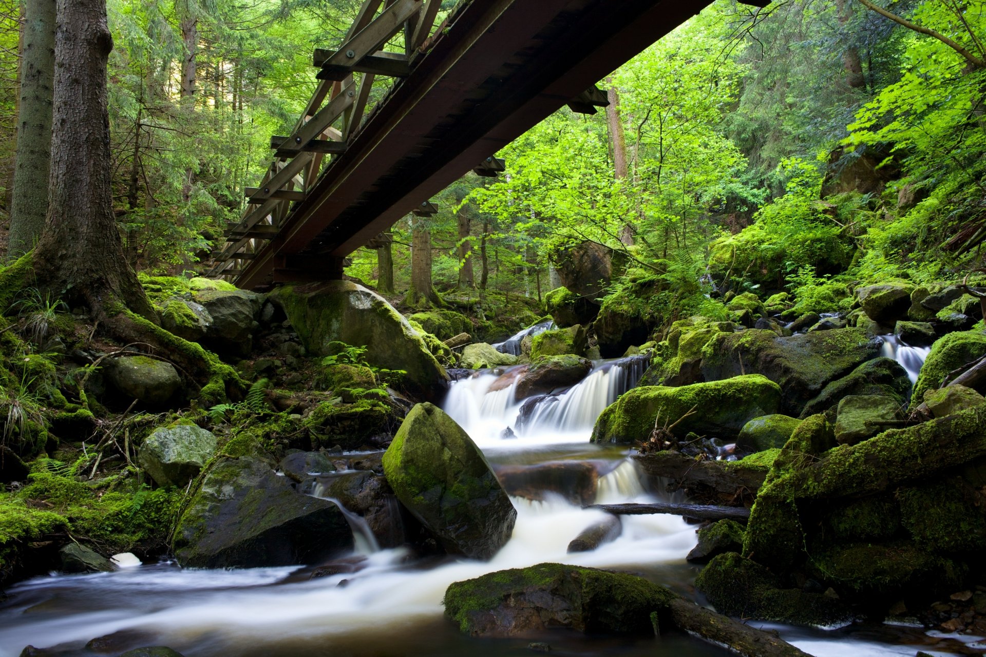 ravennaschlucht black forest baden-württemberg germany black forest baden-württemberg forest bridge river cascade stone