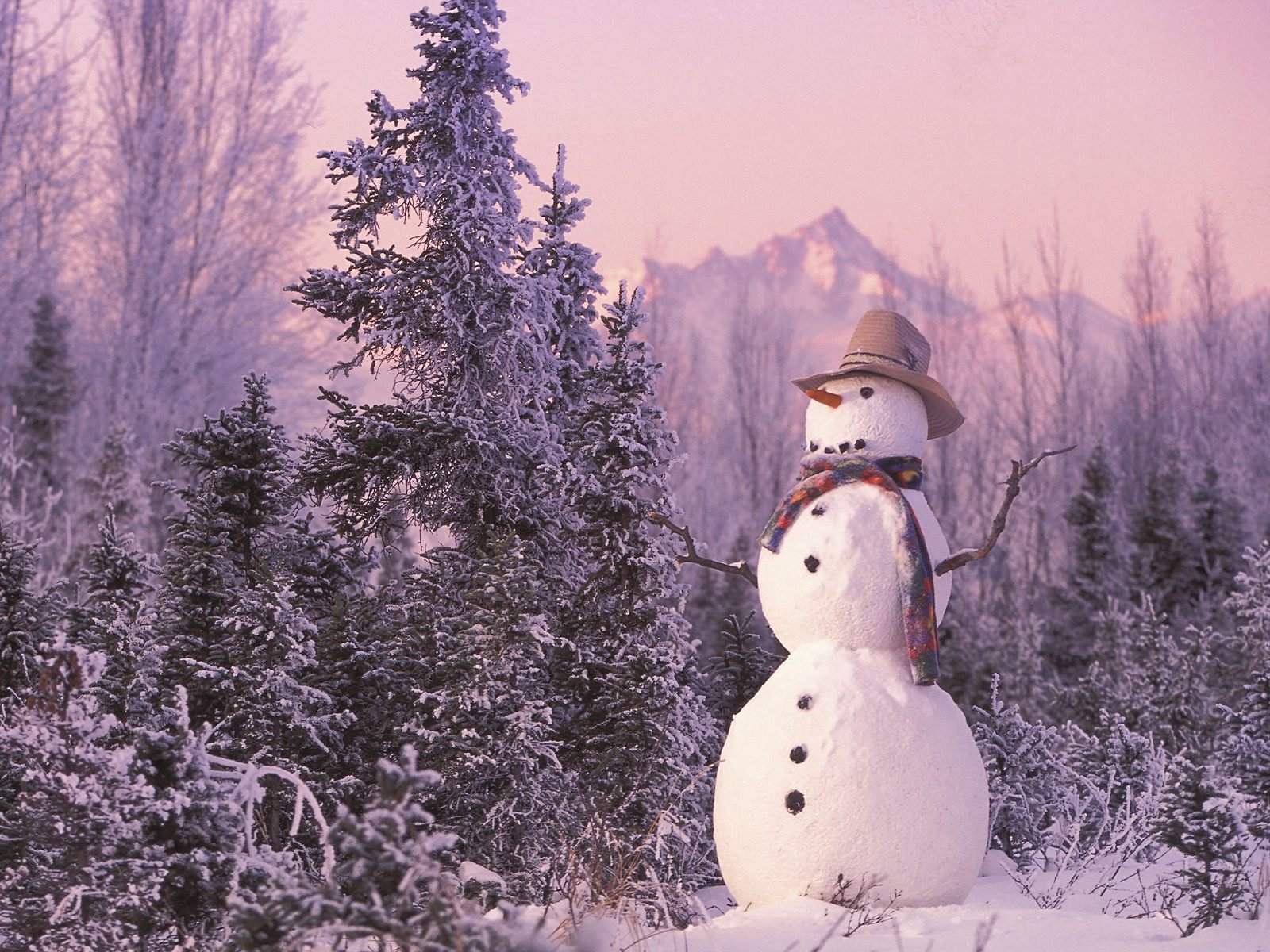 new year forest snowman winter