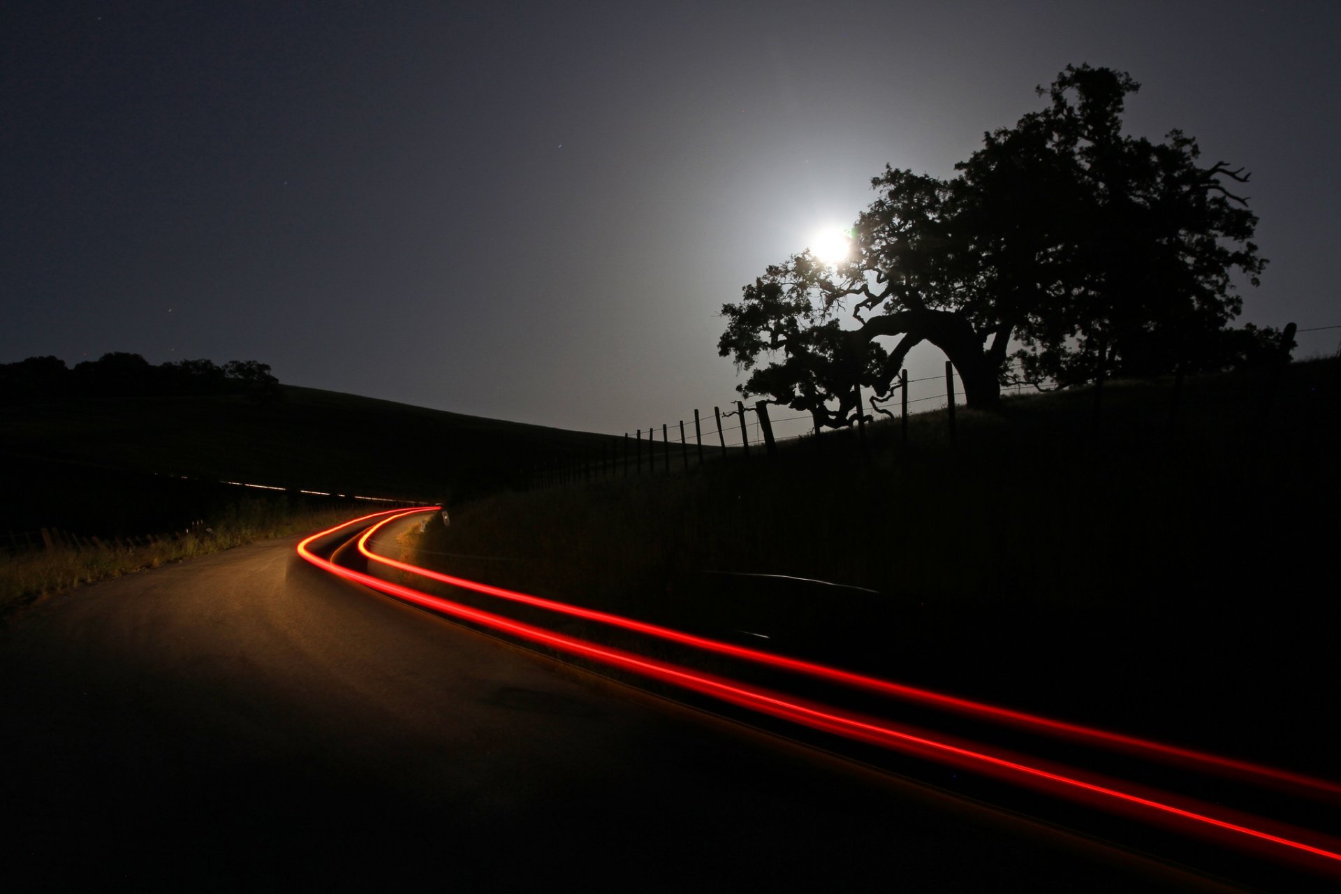 ky moon night tree road light