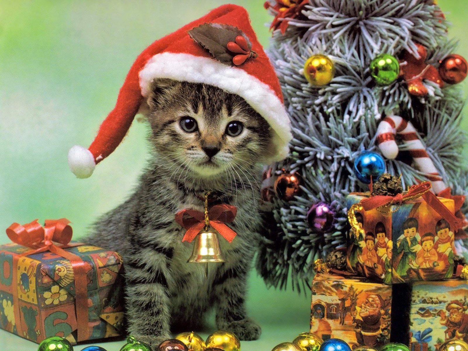 gatito regalos juguetes