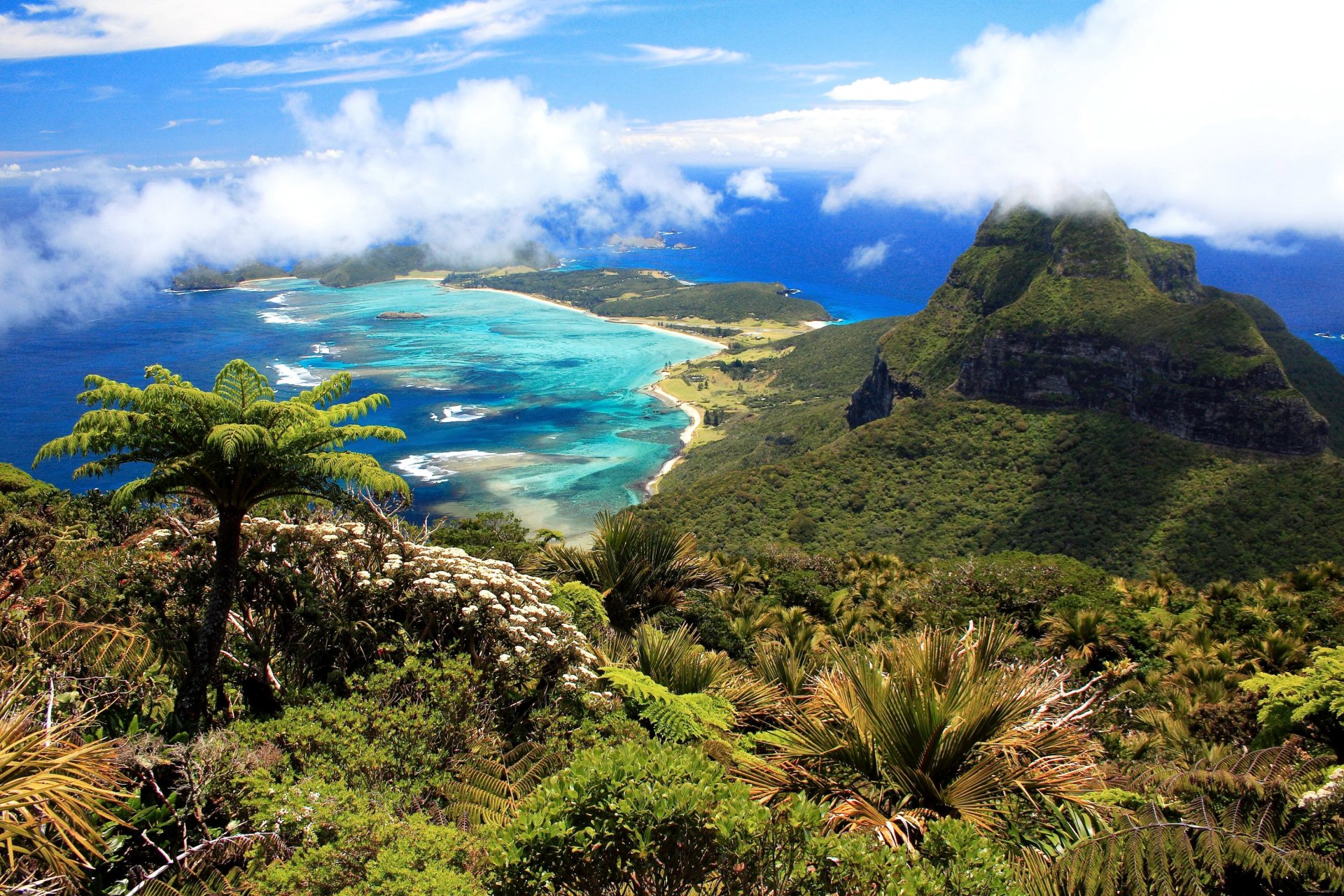 australia isla lord howe isla océano costa montañas nubes palmeras panorama