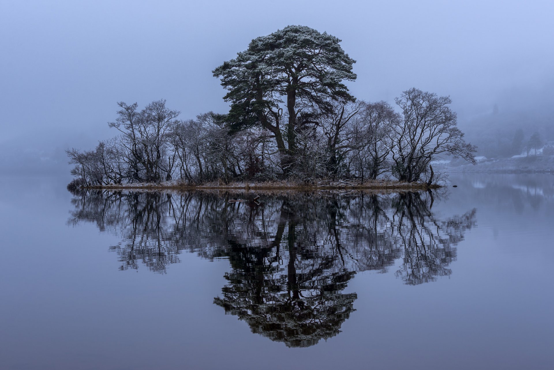 loch o szkocja loch ave jezioro wysepka drzewa odbicie