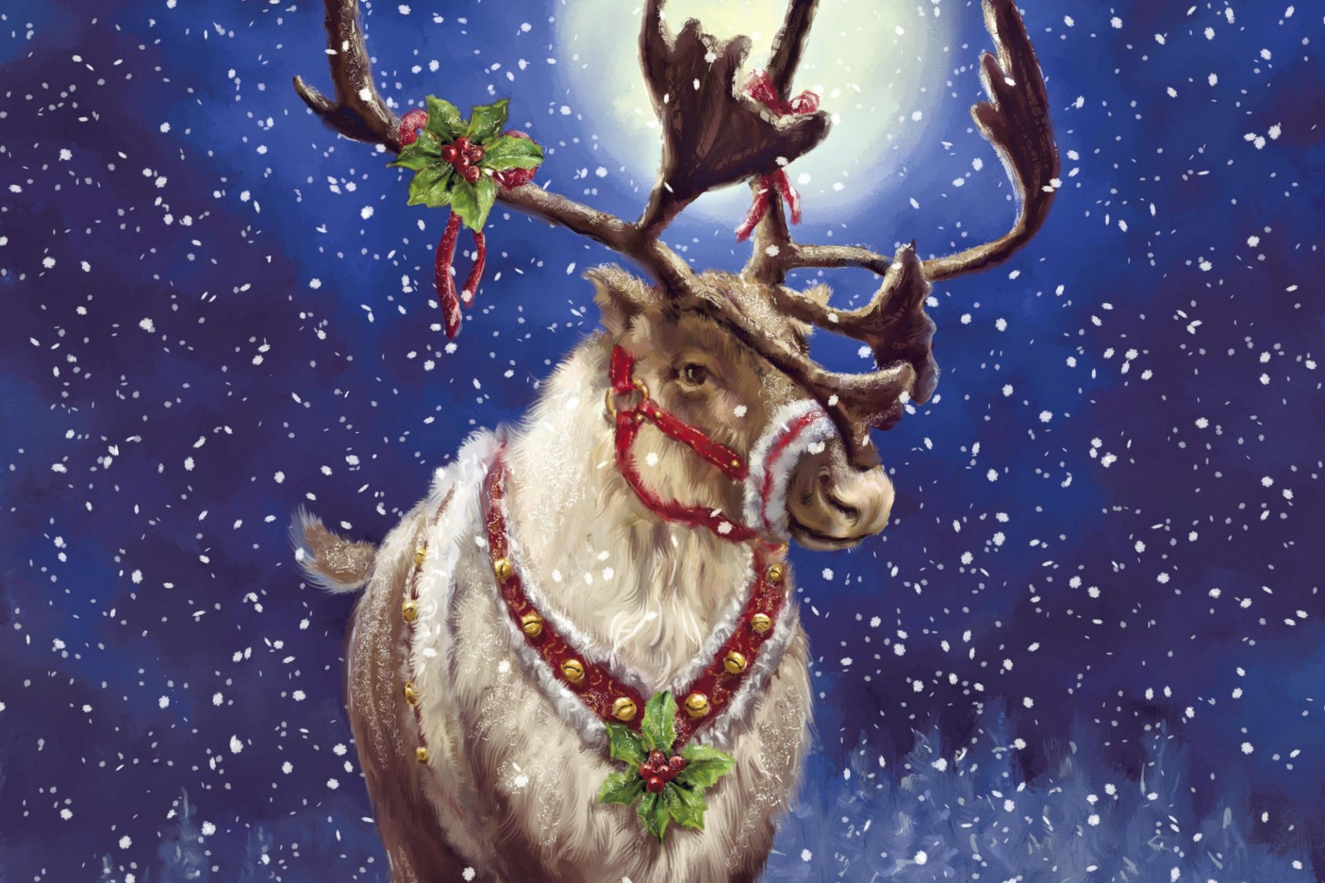 reindeer snow picture