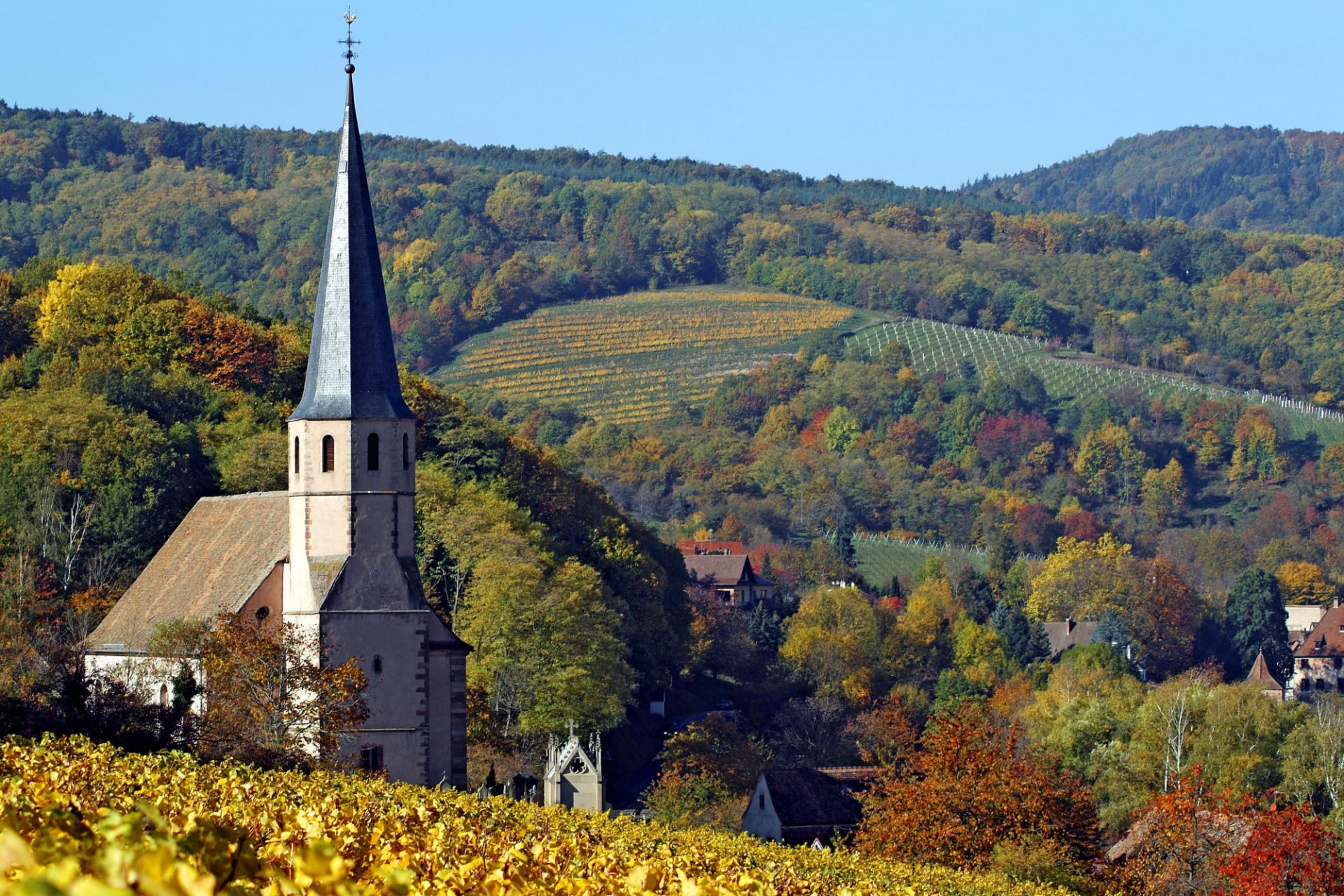 kirche herbst hügel felder bäume himmel wald horizont blätter