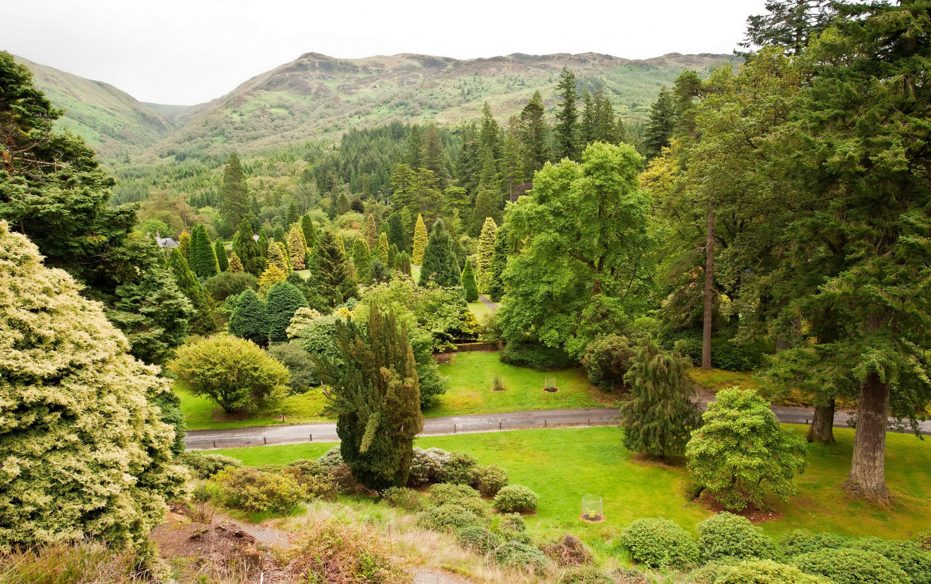 cotland gardens younger benmore botanic garden argyll mountain tree bush green