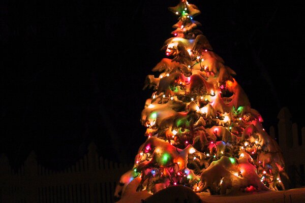 Weihnachtsbaum mit Nachtlichtern geschmückt