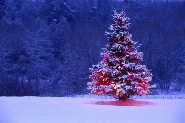 Arbre de Noël brille en hiver