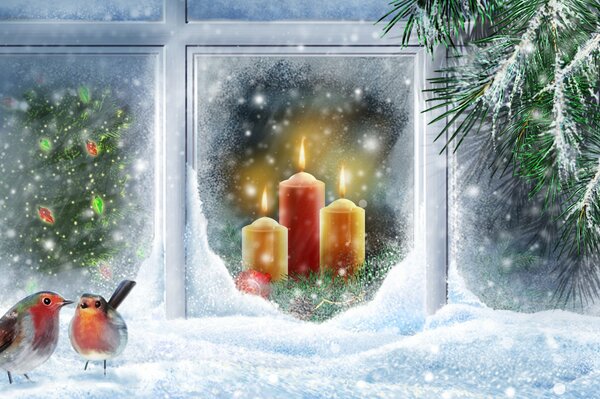 Candles outside the window, a Christmas tree and birds