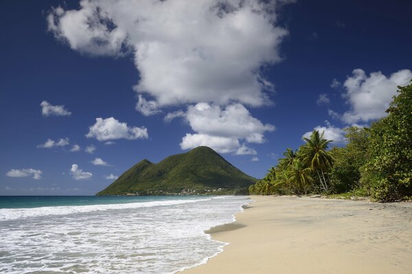 Ocean coast on tropical islands