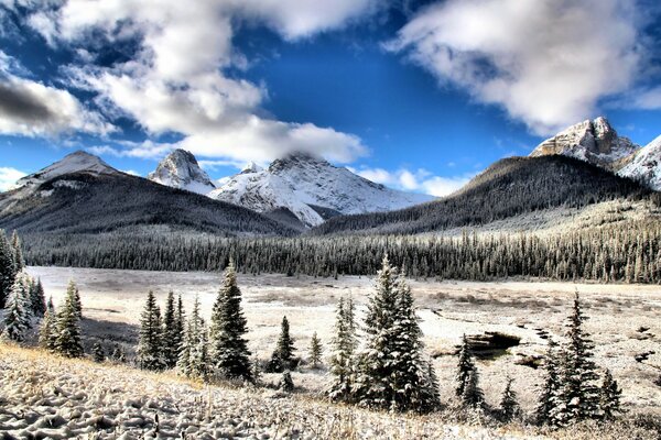 Paisaje de montaña de invierno con bosque