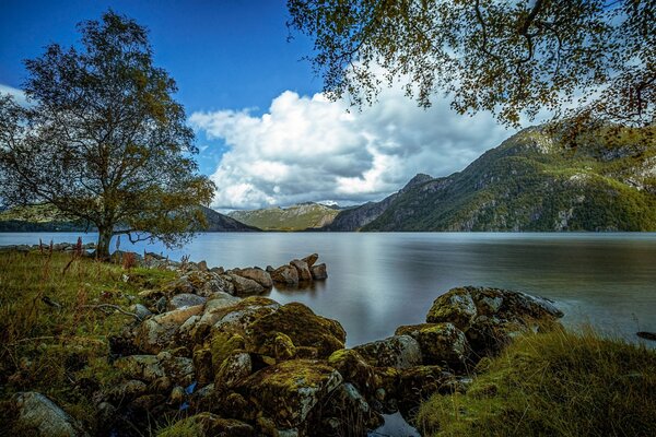 The beauty of their Norway. Fluffy clouds and green hills