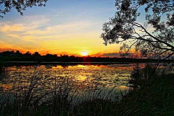 Hermosa puesta de sol en el lago