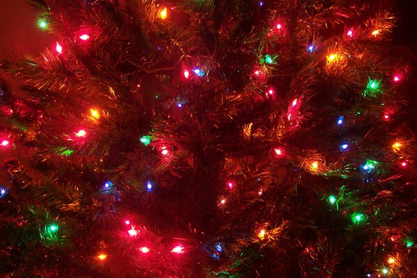 Guirlande lumineuse de Noël sur l arbre de Noël