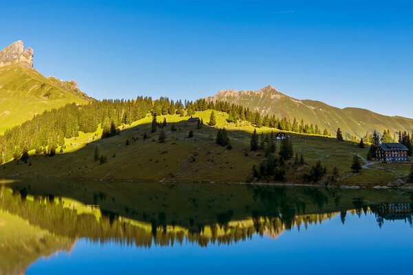 The surface of the lake in sunny weather