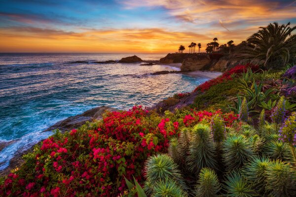 Costa del mar con palmeras y flores