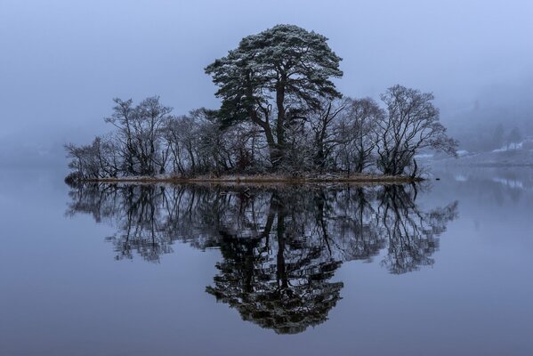 Pequeña isla entre un río con árboles