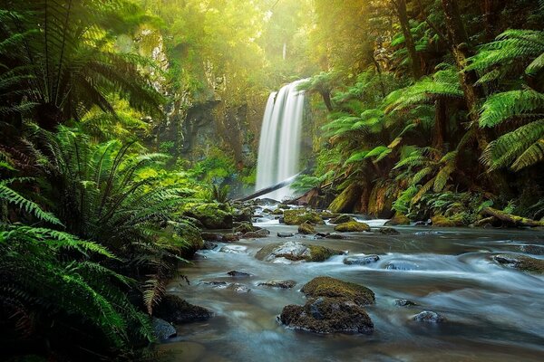 A quiet secluded place where no human foot has ever set foot