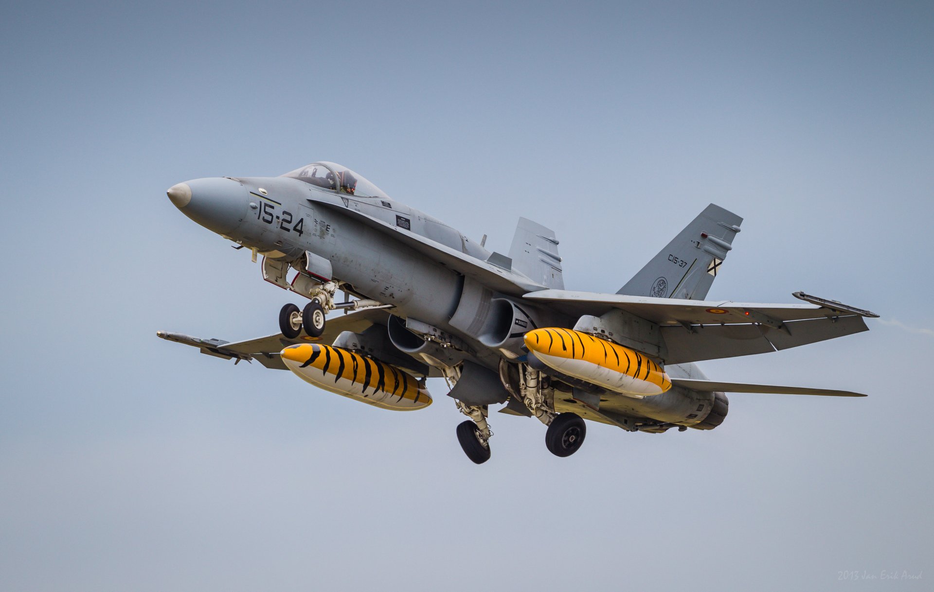 mcdonnell douglas f / a-18 avispón cubierta caza